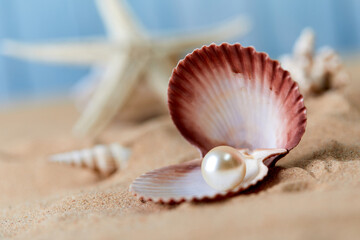 sea shells and pearl on sand - obrazy, fototapety, plakaty