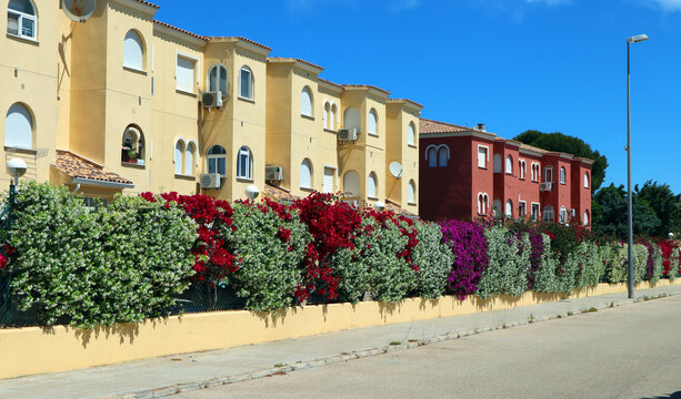 Street of the small seaside resort town of Denia. Bright colorful houses and lots of spring flowers. Tourist city on the coast of Mediterania. Blue sky sunny weather. Spain