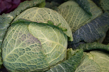 closeup of fresh organic savoy cabbage lying side by side for sale.