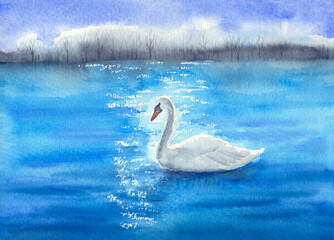 Watercolor illustration of a white swan swimming on a bright blue lake with a stripe of gray trees on the horizon
