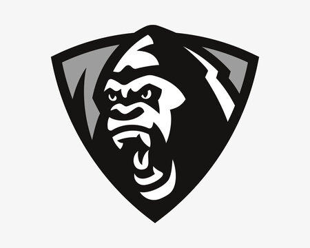 Gorilla head logo.Monkey emblem design editable for your business. Vector illustration.