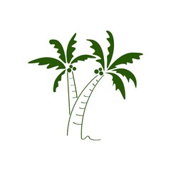 Green coconut Tree, Tropical Palm Trees Silhouettes and Outline Contours Isolated on White Background. Vector, logo, icon