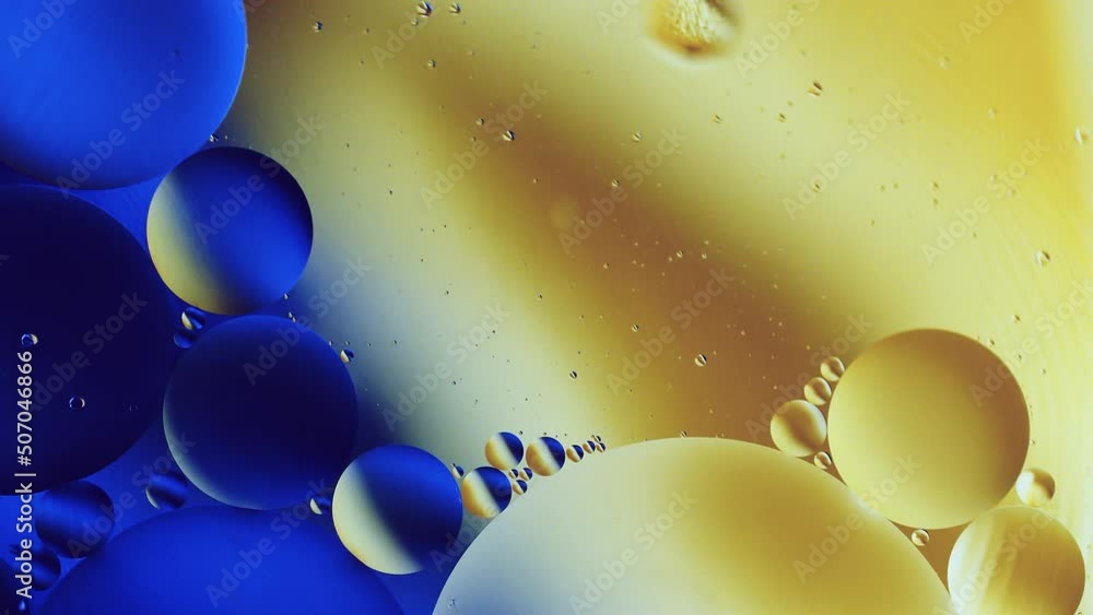 Poster real abstract colourful oil drops in water rotation with color gradient mixing background.