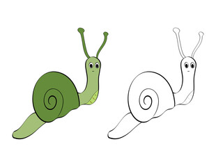 cute snail for the coloring book