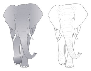 elephant drawing for kid's coloring book