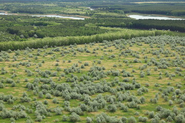 lakes and forest