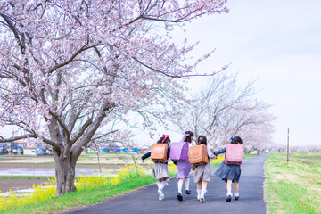 ランドセルを背負って楽しく登校する小学生の女の子たち