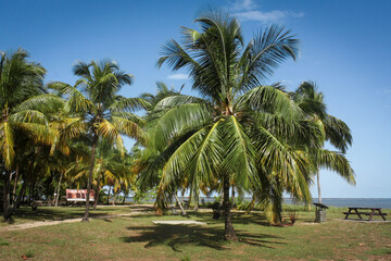 Table de picnic sur une aire de repos près de la plage de Awala-Yalimapo, village amérindien en Guyane Française lors d'une journée ensoleillée près de l'océan atlantique