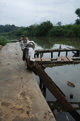 fishing on the river