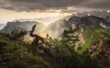 Beautiful summer morning in the mountains of Julian Alps