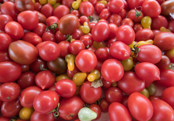 Variety of tomatoes in different shapes