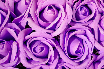 Fototapeta na wymiar Floral purple background with roses.