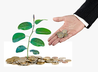 Man Investing to green business