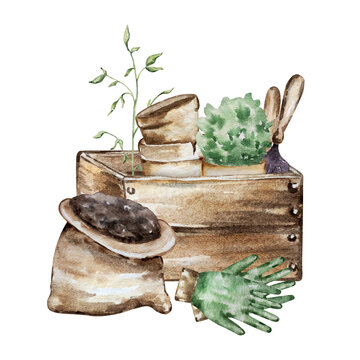 Watercolor wooden box with gardening tools