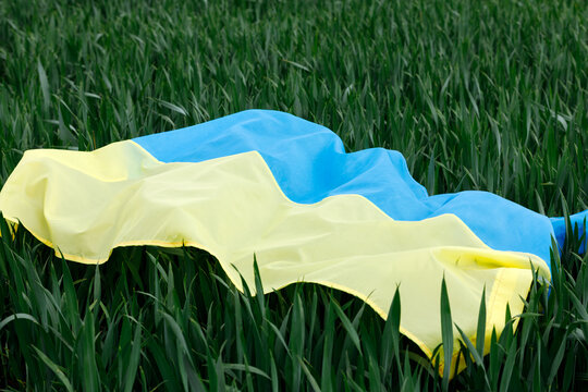Flag of Ukraine is blue-yellow on green field