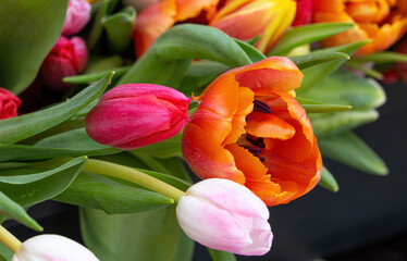 Obraz premium Tulpen auf einem Blumenmarkt