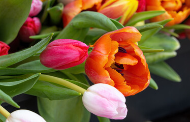 Tulpen auf einem Blumenmarkt