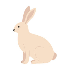 The hare is sitting. Cute eared rabbit from the side, in profile. Vector illustration in a flat style.