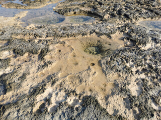 The coast of the Mediterranean Sea, clear water, long-hardened lava, in the recesses of which there is sea water. Background. It looks like an alien landscape.