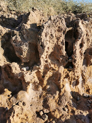 Long frozen lava, porous shore of the Mediterranean Sea.