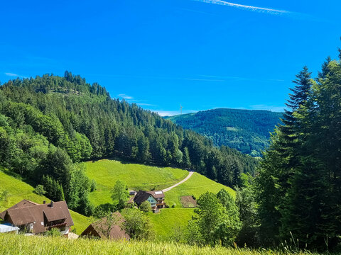 Panoramic view over green meadow, the rolling hills of the Black Forest. Top hiking destinations in the Black Forest National Park region. View from Dollenberg near Bad Peterstal-Griesbach,Ortenau.