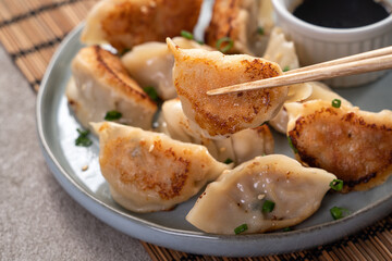 Pan-fried gyoza dumpling jiaozi in a plate with soy sauce on gray table background.