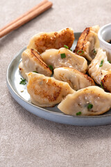 Pan-fried gyoza dumpling jiaozi in a plate with soy sauce on gray table background.