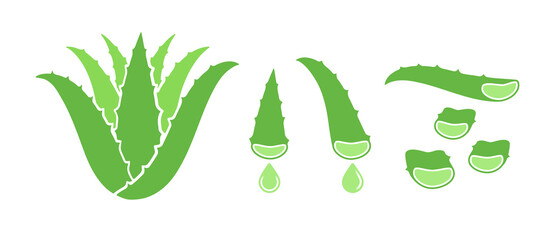 Aloe vera plant, leaves and slices. Flat vector illustration isolated on white. - obrazy, fototapety, plakaty