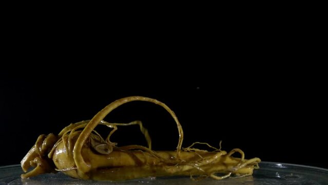 Ginseng root pouring into water slow motion