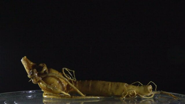 Ginseng root pouring into water slow motion