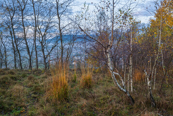 Cloudy and foggy early morning autumn meadow scene. Peaceful picturesque traveling, seasonal, nature and countryside beauty concept scene. Carpathian Mountains, Ukraine.