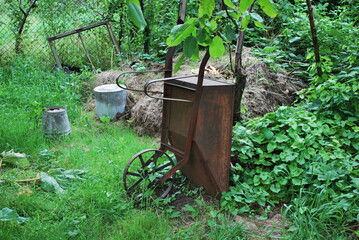 abandoned garden in summer, metal wheelbarrow