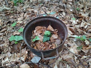 Weggeworfener Topf im Wald