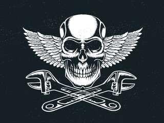 skull and bones vector