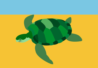 Tortuga marina de color verde.