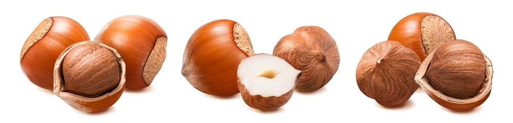 Hazelnut set isolated on white background. Whole and broken nuts. Groups by three..