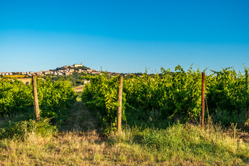 Beautiful sunrise in the countryside of Marche in a summer morning