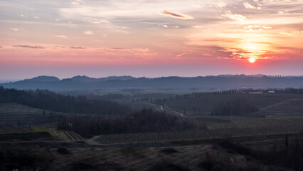 Spring sunset in the vineyards of Collio Friulano