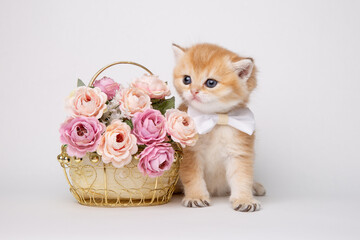 cute fluffy kitten with a bouquet of flowers and a bow tie isolated on a white background