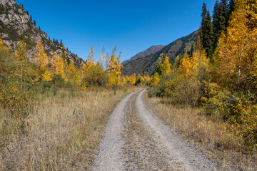 Fototapeta premium autumn in the mountains