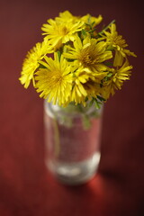 Yellow flowers bouquet on the red table, art card