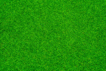 Obraz na płótnie Canvas Green grass background, football field 