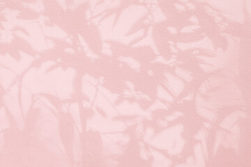 Leaf shadow and tree branch on wall. Nature leaves pastel beige, pink shadow and light from...