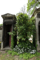 Fototapeta premium Pere Lachaise graveyard - Paris - France
