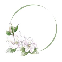 Floral wreath of magnolia flowers. Watercolor Hand draw illustration, isolated