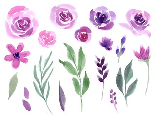 Set of lilac roses and greenery brances isolated on white background. Watercolor hand painted illustration