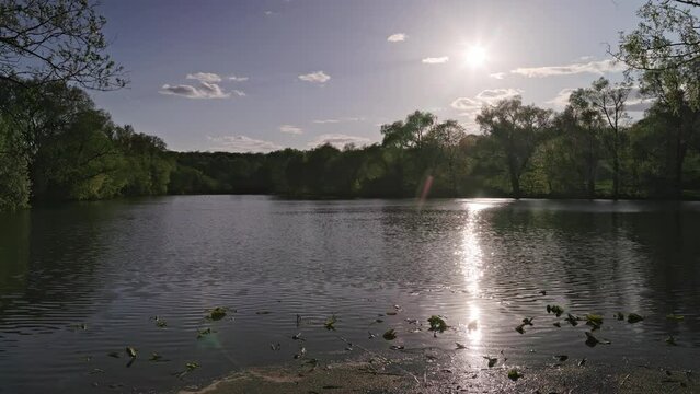 summer lake in Yasnaya Polyana with trees on the banks and floating water lilies in foreground