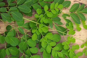 Fototapeta na wymiar green moringa leaf background with the words moringa super food using wooden blocks