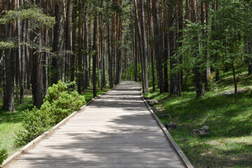 Río Cuervo, Cuenca