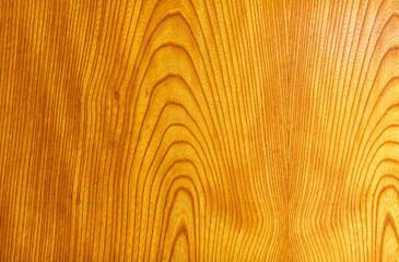 Bright wood veneer texture for background.